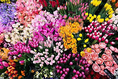 休闲合作烹饪游戏《一起做饭吧2》现已在Steam平台推出试玩Demo