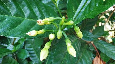 《永劫无间》Demo延长一天 修复多项问题